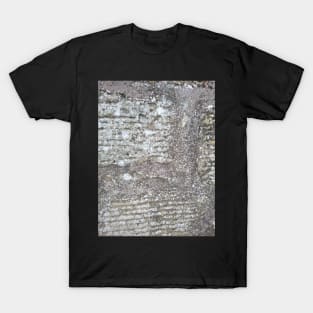 Stone texture T-Shirt